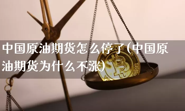 中国原油期货怎么停了(中国原油期货为什么不涨)_https://www.tuogunzhijia.com_原油期货_第1张