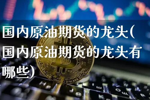 国内原油期货的龙头(国内原油期货的龙头有哪些)_https://www.tuogunzhijia.com_国际期货_第1张