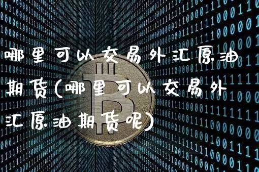 哪里可以交易外汇原油期货(哪里可以交易外汇原油期货呢)_https://www.tuogunzhijia.com_国际期货_第1张