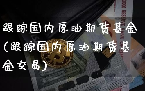 跟踪国内原油期货基金(跟踪国内原油期货基金交易)_https://www.tuogunzhijia.com_道指期货_第1张