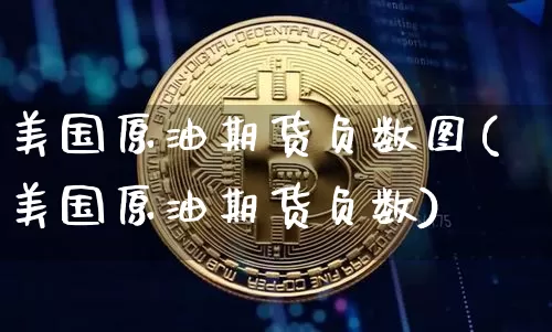 美国原油期货负数图(美国原油期货负数)_https://www.tuogunzhijia.com_恒指期货_第1张