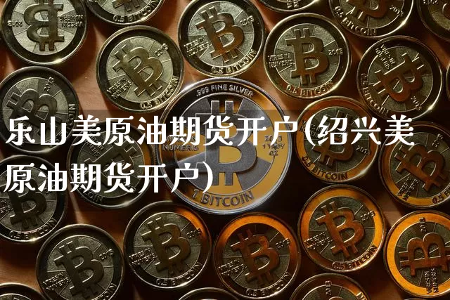 乐山美原油期货开户(绍兴美原油期货开户)_https://www.tuogunzhijia.com_纳指期货_第1张