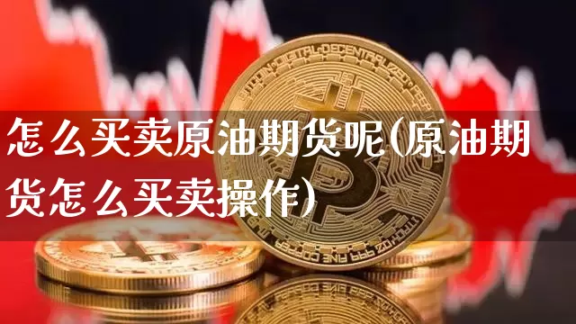 怎么买卖原油期货呢(原油期货怎么买卖操作)_https://www.tuogunzhijia.com_原油期货_第1张
