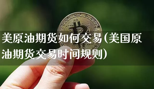 美原油期货如何交易(美国原油期货交易时间规则)_https://www.tuogunzhijia.com_道指期货_第1张
