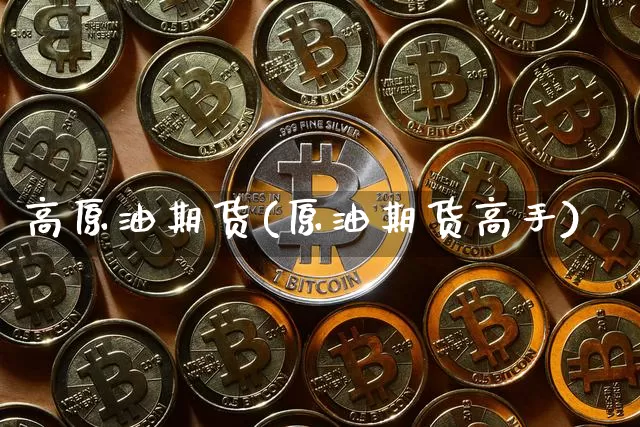 高原油期货(原油期货高手)_https://www.tuogunzhijia.com_黄金期货_第1张