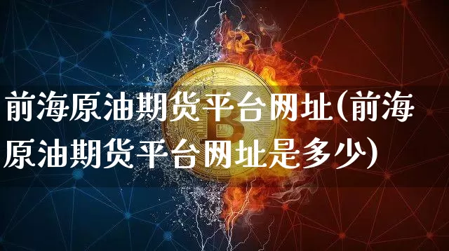 前海原油期货平台网址(前海原油期货平台网址是多少)_https://www.tuogunzhijia.com_道指期货_第1张