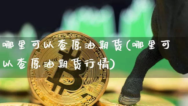 哪里可以查原油期货(哪里可以查原油期货行情)_https://www.tuogunzhijia.com_原油期货_第1张
