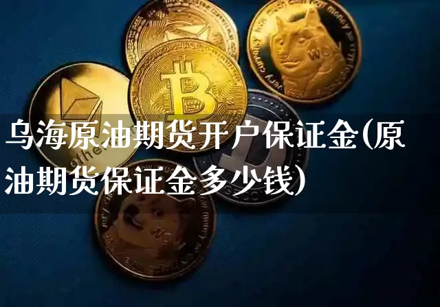 乌海原油期货开户保证金(原油期货保证金多少钱)_https://www.tuogunzhijia.com_恒指期货_第1张