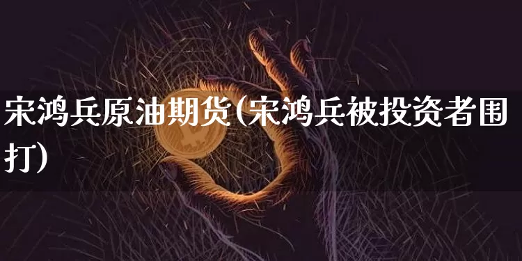 宋鸿兵原油期货(宋鸿兵被投资者围打)_https://www.tuogunzhijia.com_恒指期货_第1张