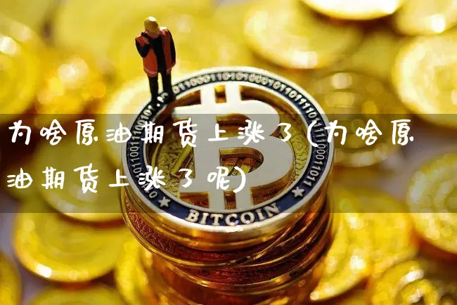 为啥原油期货上涨了(为啥原油期货上涨了呢)_https://www.tuogunzhijia.com_道指期货_第1张
