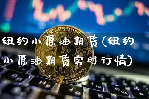 纽约小原油期货(纽约小原油期货实时行情)_https://www.tuogunzhijia.com_内盘期货_第1张