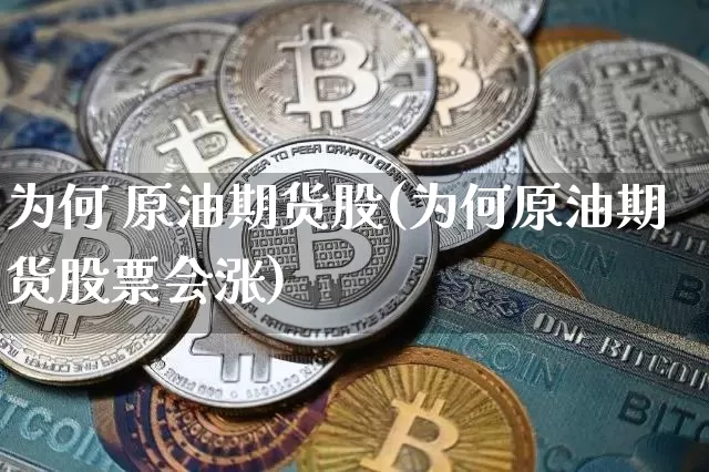 为何 原油期货股(为何原油期货股票会涨)_https://www.tuogunzhijia.com_道指期货_第1张