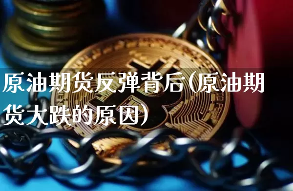 原油期货反弹背后(原油期货大跌的原因)_https://www.tuogunzhijia.com_恒指期货_第1张