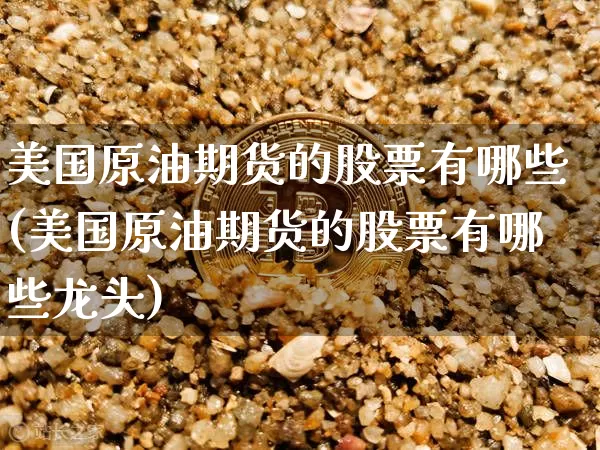 美国原油期货的股票有哪些(美国原油期货的股票有哪些龙头)_https://www.tuogunzhijia.com_恒指期货_第1张