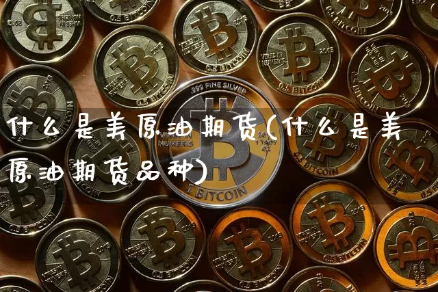 什么是美原油期货(什么是美原油期货品种)_https://www.tuogunzhijia.com_国际期货_第1张