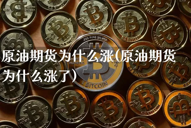 原油期货为什么涨(原油期货为什么涨了)_https://www.tuogunzhijia.com_原油期货_第1张