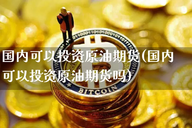 国内可以投资原油期货(国内可以投资原油期货吗)_https://www.tuogunzhijia.com_内盘期货_第1张