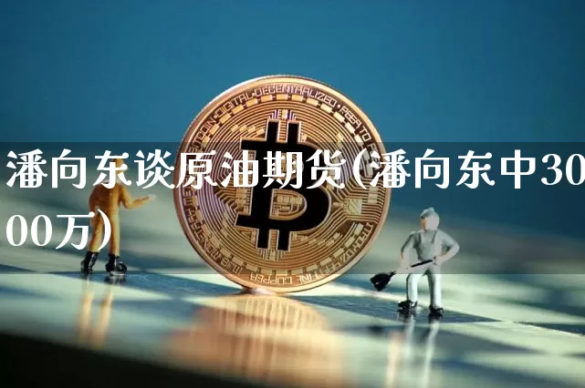 潘向东谈原油期货(潘向东中3000万)_https://www.tuogunzhijia.com_国际期货_第1张