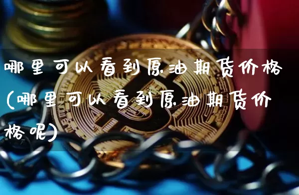哪里可以看到原油期货价格(哪里可以看到原油期货价格呢)_https://www.tuogunzhijia.com_道指期货_第1张