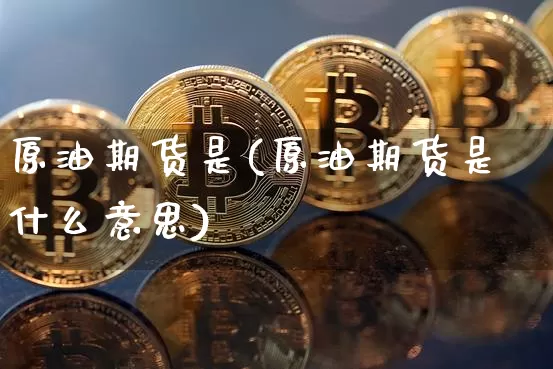 原油期货是(原油期货是什么意思)_https://www.tuogunzhijia.com_黄金期货_第1张