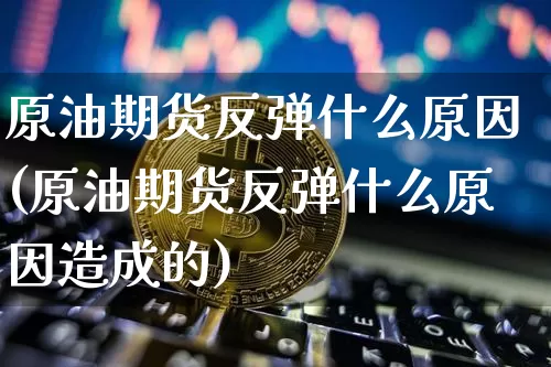 原油期货反弹什么原因(原油期货反弹什么原因造成的)_https://www.tuogunzhijia.com_纳指期货_第1张
