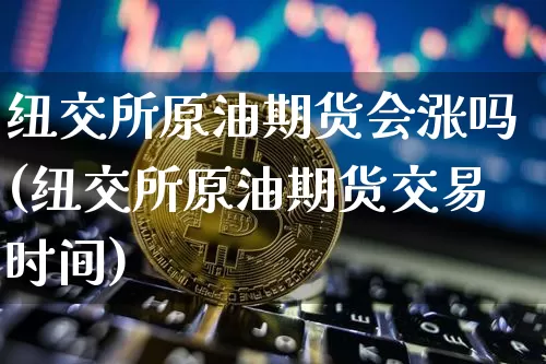 纽交所原油期货会涨吗(纽交所原油期货交易时间)_https://www.tuogunzhijia.com_纳指期货_第1张