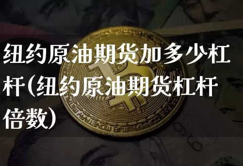 纽约原油期货加多少杠杆(纽约原油期货杠杆倍数)_https://www.tuogunzhijia.com_纳指期货_第1张