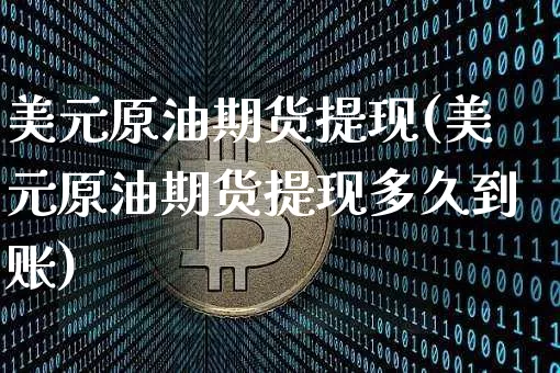 美元原油期货提现(美元原油期货提现多久到账)_https://www.tuogunzhijia.com_黄金期货_第1张