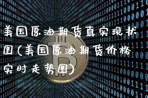 美国原油期货真实现状图(美国原油期货价格实时走势图)_https://www.tuogunzhijia.com_国际期货_第1张
