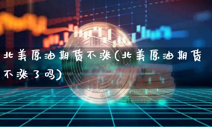 北美原油期货不涨(北美原油期货不涨了吗)_https://www.tuogunzhijia.com_原油期货_第1张