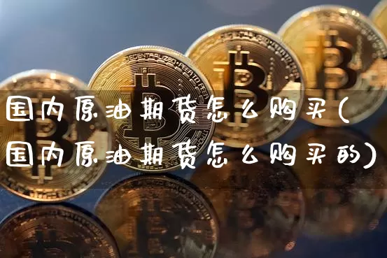 国内原油期货怎么购买(国内原油期货怎么购买的)_https://www.tuogunzhijia.com_纳指期货_第1张
