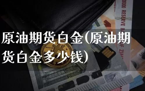 原油期货白金(原油期货白金多少钱)_https://www.tuogunzhijia.com_恒指期货_第1张