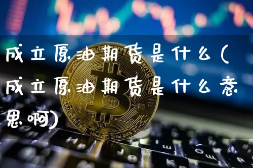 成立原油期货是什么(成立原油期货是什么意思啊)_https://www.tuogunzhijia.com_恒指期货_第1张