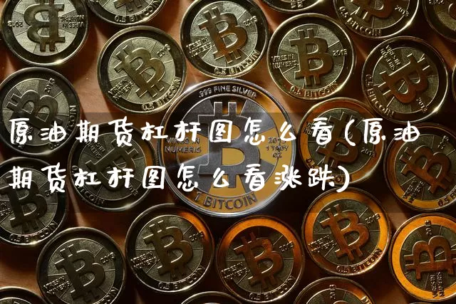 原油期货杠杆图怎么看(原油期货杠杆图怎么看涨跌)_https://www.tuogunzhijia.com_原油期货_第1张
