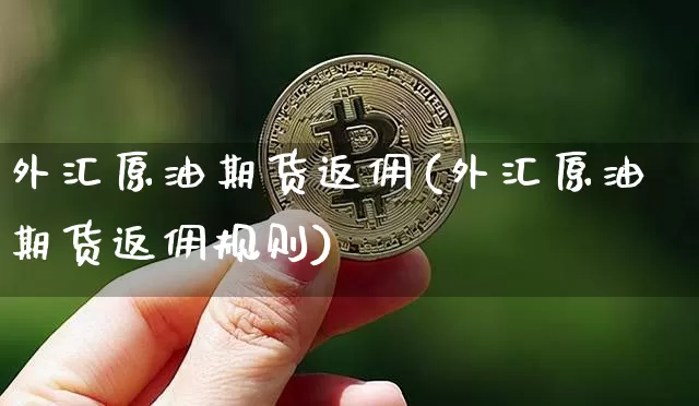 外汇原油期货返佣(外汇原油期货返佣规则)_https://www.tuogunzhijia.com_恒指期货_第1张