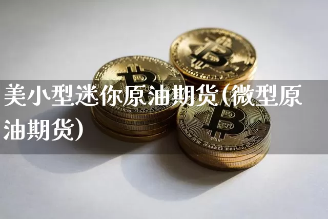 美小型迷你原油期货(微型原油期货)_https://www.tuogunzhijia.com_黄金期货_第1张