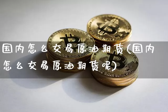 国内怎么交易原油期货(国内怎么交易原油期货呢)_https://www.tuogunzhijia.com_恒指期货_第1张