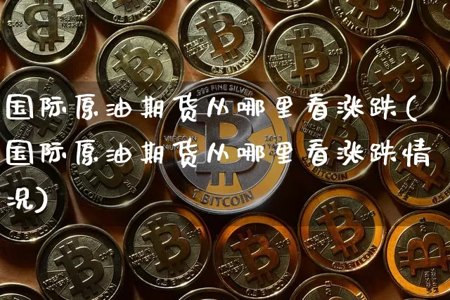 国际原油期货从哪里看涨跌(国际原油期货从哪里看涨跌情况)_https://www.tuogunzhijia.com_原油期货_第1张