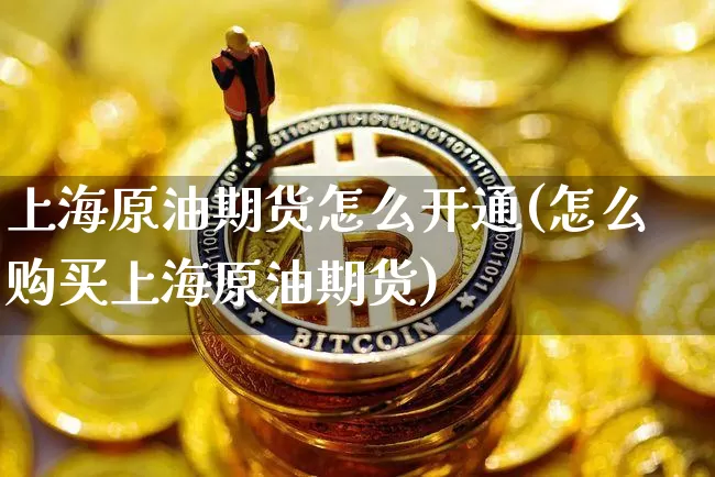 上海原油期货怎么开通(怎么购买上海原油期货)_https://www.tuogunzhijia.com_恒指期货_第1张