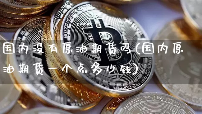 国内没有原油期货吗(国内原油期货一个点多少钱)_https://www.tuogunzhijia.com_黄金期货_第1张