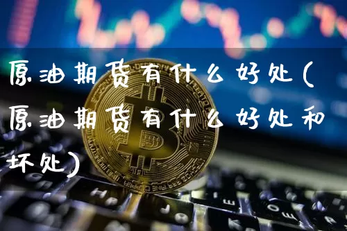 原油期货有什么好处(原油期货有什么好处和坏处)_https://www.tuogunzhijia.com_原油期货_第1张