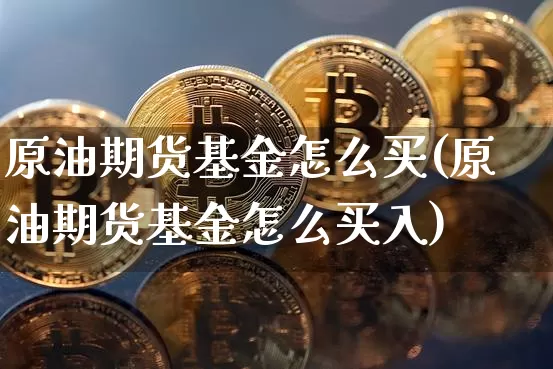 原油期货基金怎么买(原油期货基金怎么买入)_https://www.tuogunzhijia.com_黄金期货_第1张