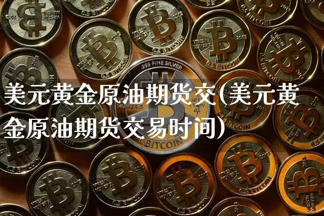 美元黄金原油期货交(美元黄金原油期货交易时间)_https://www.tuogunzhijia.com_国际期货_第1张