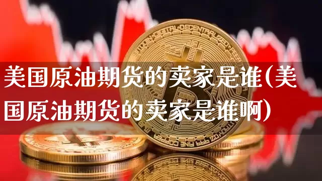 美国原油期货的卖家是谁(美国原油期货的卖家是谁啊)_https://www.tuogunzhijia.com_原油期货_第1张