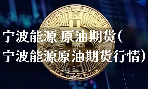 宁波能源 原油期货(宁波能源原油期货行情)_https://www.tuogunzhijia.com_原油期货_第1张